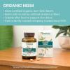 Himalaya Organic Neem Herbal Supplement, for Mild Acne & Clear Skin, Purifying, Ayurvedic, USDA Certified Organic, Non-GMO, Vegan, 600 mg, 60 Plant Based Caplets, 2 Pack(60 Count (Pack of 1))