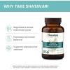 Himalaya Organic Shatavari – Promotes Hormone Balance for Women and Menstrual Cramp Relief – USDA Organic, Vegan, Gluten Free, 1300 mg, 60 Caplets(60 Count (Pack of 1))