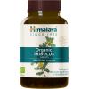 Himalaya Organic Tribulus Terrestris – Herbal Supplement for Bladder Control, Male Endurance, Prostate, and Libido Support – Vegan, Non-GMO, Gluten Free, 688 mg, 60 Caplets