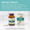 Himalaya Organic Tribulus Terrestris – Herbal Supplement for Bladder Control, Male Endurance, Prostate, and Libido Support – Vegan, Non-GMO, Gluten Free, 688 mg, 60 Caplets