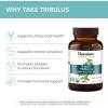 Himalaya Organic Tribulus Terrestris – Herbal Supplement for Bladder Control, Male Endurance, Prostate, and Libido Support – Vegan, Non-GMO, Gluten Free, 688 mg, 60 Caplets