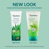 Himalaya Purifying Neem Face Wash, Normal to Oily Skin with Turmeric, Vegan, Soap Free, Paraben Free, Dermatologically Tested, SLS/SLES Free, 5.07 Fl Oz., 150 mL, 2 Pack(3.38 Ounce (Pack of 1))