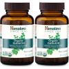 Himalaya Organic Guduchi – Herbal Active Immune Support Supplement with Antioxidant Support for Cellular Defense – Vegan, Non-GMO, Gluten Free, 700 mg, 60 Caplets(60 Count (Pack of 2))