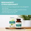 Himalaya Citrus Bergamot, Herbal Supplement for Daily Wellness, Vegan, Gluten Free, 500 mg Bergamonte® Extract, 60 Capsules
