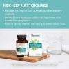 Himalaya NSK-SD Nattokinase, Dietary Supplement for Healthy Circulation, Vegan, Gluten Free Natto Extract, 100 mg, 60 Capsules